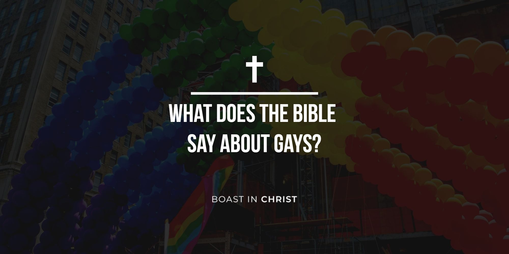 What Does The Bible Say About Gays