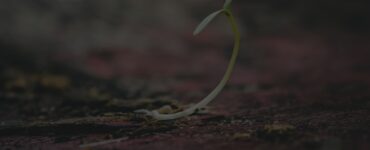 Grow Where You're Planted Because God Can Work Anywhere