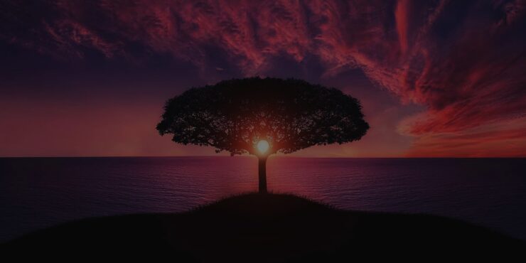 What Color is God?