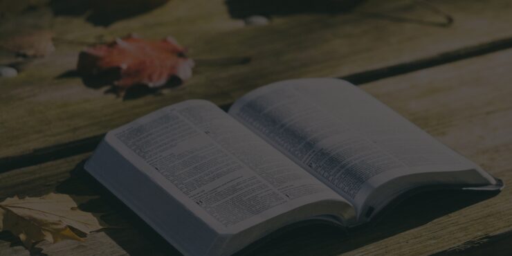 Bible Verses About Evangelism