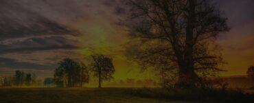 Do You Think God Stays in Heaven?