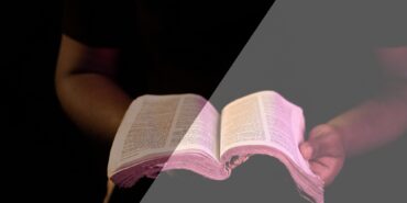 Who Wrote the Gospels and Everything You Need to Know